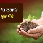 Auspicious Monsoon Plants: ਮੌਨਸੂਨ ਦੌਰਾਨ ਗ੍ਰਹਿਆਂ ਅਨੁਸਾਰ ਲਗਾਓ ਇਹ ਸ਼ੁਭ ਪੌਦੇ, ਚਮਕ ਸਕਦੀ ਹੈ ਤੁਹਾਡੀ ਕਿਸਮਤ!