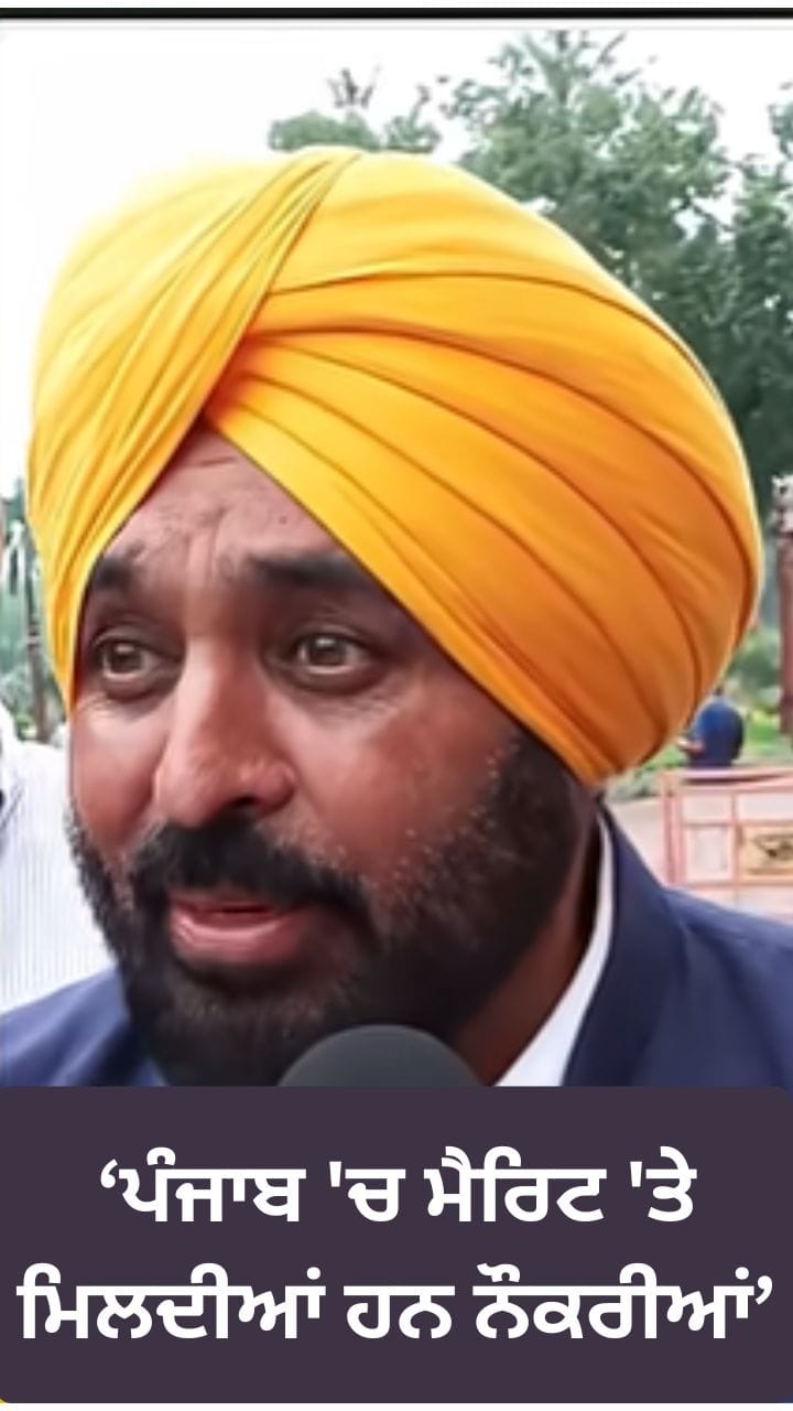 ਪੰਜਾਬ 'ਚ ਮੈਰਿਟ 'ਤੇ ਮਿਲਦੀਆਂ ਹਨ ਨੌਕਰੀਆਂ, Cheating, ਪੇਪਰ ਲੀਕ Past ਦੀ ਗੱਲ: CM