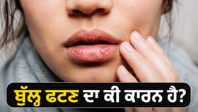 ਵਾਰ-ਵਾਰ ਫਟ ਰਹੇ ਹਨ ਬੁੱਲ੍ਹ? ਸਰੀਰ ਵਿੱਚ ਇਨ੍ਹਾਂ ਪੋਸ਼ਕ ਤੱਤਾਂ ਦੀ ਕਮੀ ਹੋ ਸਕਦੀ ਹੈ ਮੁੱਖ ਵਜ੍ਹਾ...