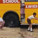 Viral Video: ਮਾਂ ਨੇ ਮਿੱਟੀ ਤੋਂ ਰੋਕਿਆ ਤਾਂ ਬੱਚੀ ਨੇ ਚਿੱਕੜ ਨੂੰ ਹੀ ਬਣਾ ਲਿਆ ਮੈਦਾਨ, ਵੀਡੀਓ ਨੇ ਤਾਜ਼ਾ ਕੀਤੀਆਂ ਬਚਪਨ ਦੀਆਂ ਯਾਦਾਂ