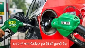 ਆਮ ਪੈਟਰੋਲ ਪਵਾਓ ਜਾਂ E-20, ਸਰਕਾਰ ਦੇ ਸਕਦੀ ਹੈ ਚੋਣ ਦਾ ਵਿਕਲਪ