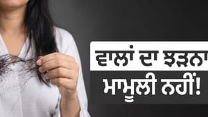 ਕਦੋਂ ਗੰਭੀਰ ਬਿਮਾਰੀ ਬਣਦੈ ਵਾਲਾਂ ਦਾ ਝੜਨਾ? ਇਹ ਲੱਛਣ ਦਿਖਦੇ ਹੀ ਡਾਕਟਰ ਨੂੰ ਮਿਲੋ