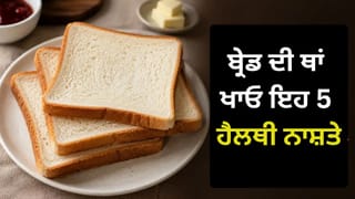 ਬ੍ਰੇਡ ਦੀ ਥਾਂ ਖਾਓ ਇਹ 5 ਹੈਲਥੀ ਚੀਜ਼ਾਂ, ਸਾਰਾ ਦਿਨ ਰਹੋਗੇ ਐਨਰਜੀ ਨਾਲ ਭਰਪੂਰ
