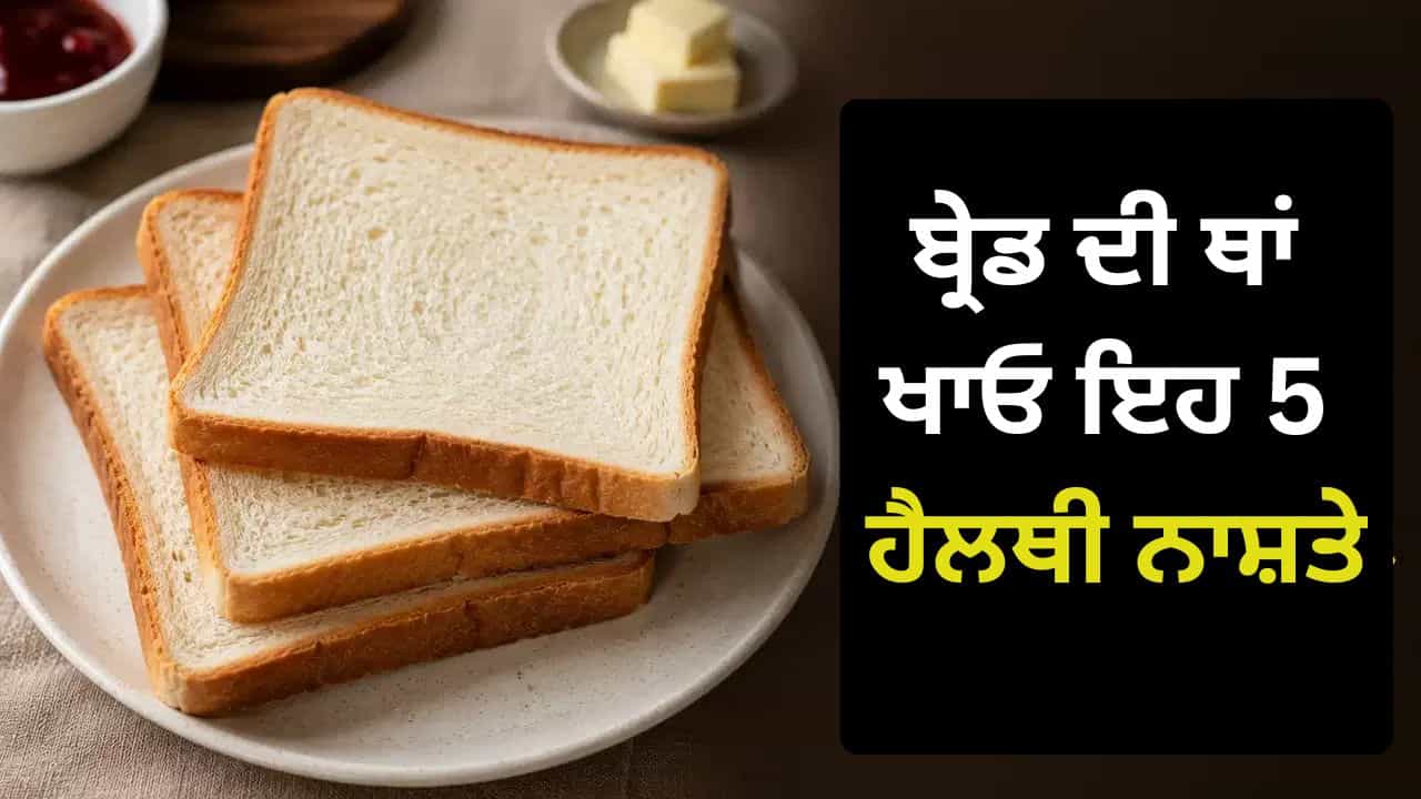 ਬ੍ਰੇਡ ਦੀ ਥਾਂ ਖਾਓ ਇਹ 5 ਹੈਲਥੀ ਚੀਜ਼ਾਂ, ਸਾਰਾ ਦਿਨ ਰਹੋਗੇ ਐਨਰਜੀ ਨਾਲ ਭਰਪੂਰ