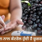 ਕੀ ਸੱਚਮੁੱਚ ਜਾਮੁਨ ਨਾਲ ਹੁੰਦੀ ਹੈ ਸ਼ੂਗਰ ਕੰਟਰੋਲ? ਇਹ ਮਿਥ ਹੈ ਜਾਂ ਸੱਚ, ਮਾਹਰ ਤੋਂ ਜਾਣੋ