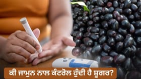 ਸੱਚਮੁੱਚ ਜਾਮੁਨ ਨਾਲ ਹੁੰਦੀ ਸ਼ੂਗਰ ਕੰਟਰੋਲ? ਇਹ ਮਿਥ ਹੈ ਜਾਂ ਸੱਚ, ਮਾਹਰ ਤੋ ਜਾਣੋ