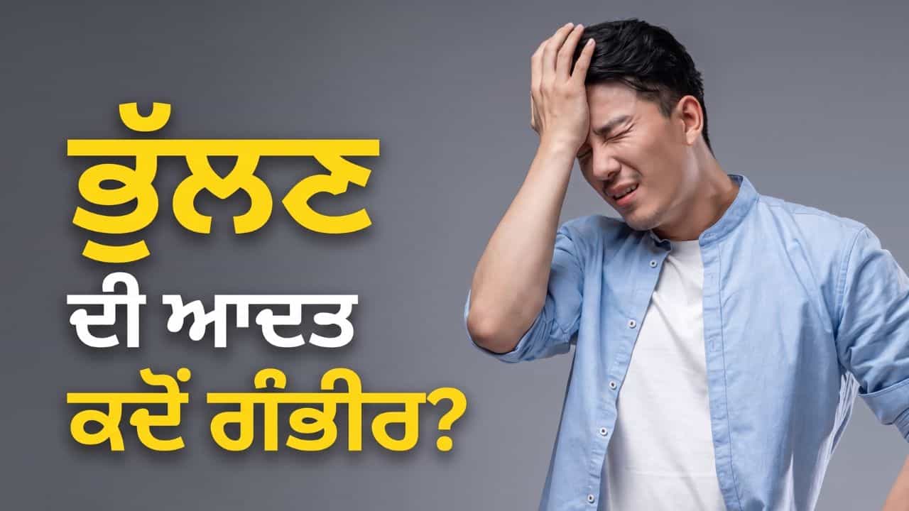 ਕੀ ਤੁਸੀਂ ਵੀ ਵਾਰ-ਵਾਰ ਗੱਲਾਂ ਭੁੱਲ ਜਾਂਦੇ ਹੋ? ਜਾਣੋ ਕਦੋਂ ਹੋਣਾ ਚਾਹੀਦਾ ਹੈ ਸਤਰਕ