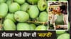 ਅੰਬ ਦਾ ਨਾਮ ਚੌਸਾ ਤੇ ਲੰਗੜਾ ਕਿਵੇਂ ਪਿਆ? ਜਾਣੋ ਰਾਸ਼ਟਰੀ ਫਲ ਦੀਆਂ ਦਿਲਚਸਪ ਗੱਲਾਂ...