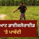 ਖੇਤਾਂ ‘ਚ ਵਰਤਿਆ ਜਾਣ ਵਾਲਾ ਪੈਰਾਕੁਆਟ ਡਾਈਕਲੋਰਾਈਡ ਇਨਸਾਨਾਂ ਲਈ ਕਿੰਨਾ ਖ਼ਤਰਨਾਕ? ਜਾਣੋ