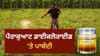 ਪੈਰਾਕੁਆਟ ਡਾਈਕਲੋਰਾਈਡ ਇਨਸਾਨਾਂ ਲਈ ਕਿੰਨਾ ਖ਼ਤਰਨਾਕ? ਜਾਣੋ...
