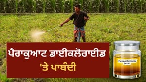ਪੈਰਾਕੁਆਟ ਡਾਈਕਲੋਰਾਈਡ ਇਨਸਾਨਾਂ ਲਈ ਕਿੰਨਾ ਖ਼ਤਰਨਾਕ? ਜਾਣੋ ਪੈਰਾਕੁਆਟ ਡਾਈਕਲੋਰਾਈਡ ਇਨਸਾਨਾਂ ਲਈ ਕਿੰਨਾ ਖ਼ਤਰਨਾਕ? ਜਾਣੋ