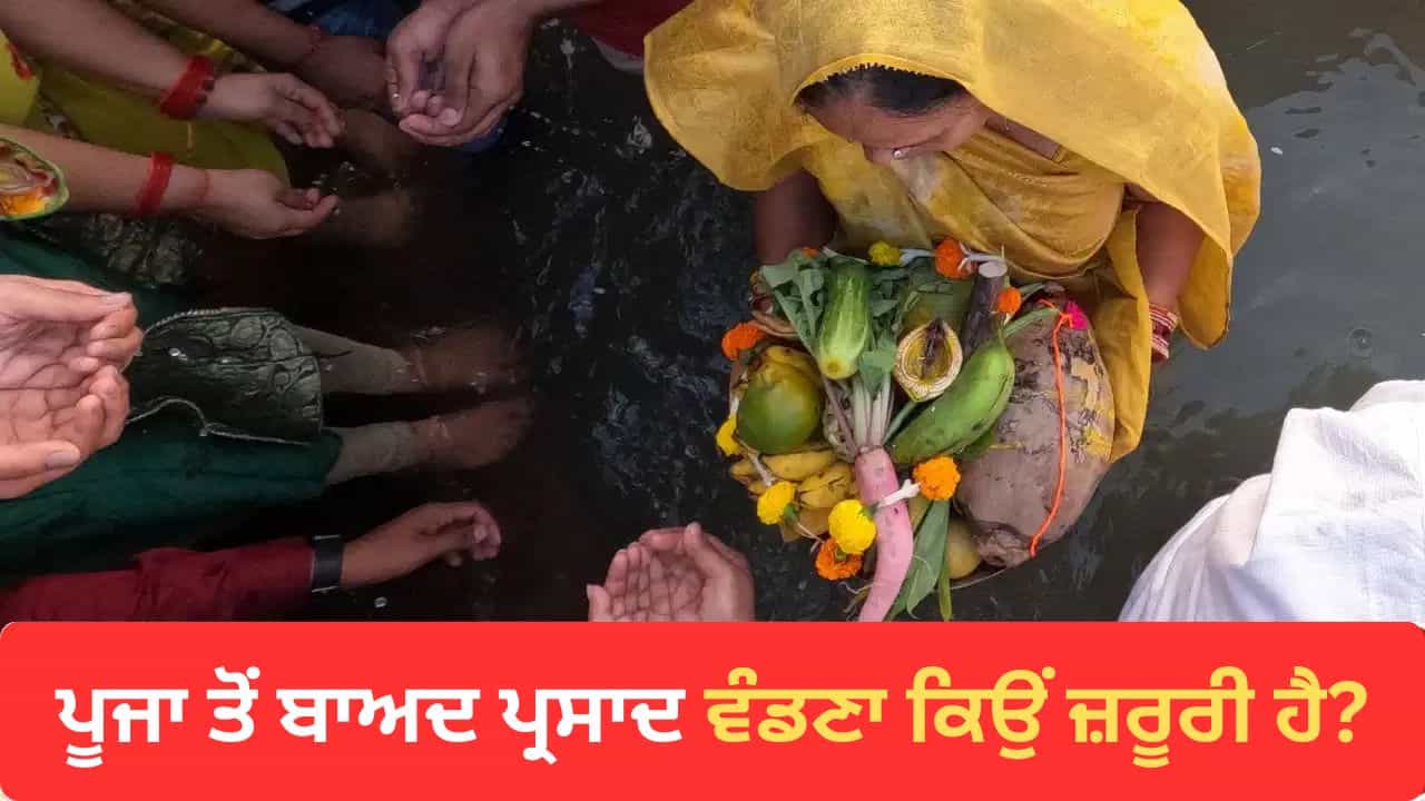 ਪੂਜਾ ਤੋਂ ਬਾਅਦ ਪ੍ਰਸਾਦ ਵੰਡਣਾ ਕਿਉਂ ਮੰਨਿਆ ਜਾਂਦਾ ਹੈ ਸ਼ੁਭ? ਜਾਣੋ ਧਾਰਮਿਕ ਮਹੱਤਵ ਪੂਜਾ ਤੋਂ ਬਾਅਦ ਪ੍ਰਸਾਦ ਵੰਡਣਾ ਕਿਉਂ ਮੰਨਿਆ ਜਾਂਦਾ ਹੈ ਸ਼ੁਭ? ਜਾਣੋ ਧਾਰਮਿਕ ਮਹੱਤਵ