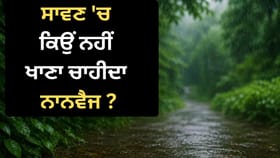 ਸਾਵਣ ‘ਚ ਨਾਨਵੈਜ ਖਾਣ ਦੀ ਕਿਉਂ ਹੁੰਦੀ ਹੈ ਮਨਾਹੀ? ਸਮਝੋ ਪੂਰਾ ਵਿਗਿਆਨ, ਮਾਹਿਰਾਂ ਨੇ ਦੱਸਿਆ...