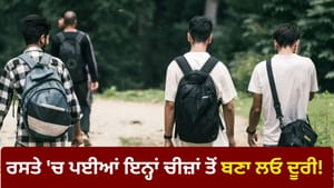 ਸੜਕ 'ਤੇ ਪਈਆਂ ਇਨ੍ਹਾਂ ਚੀਜ਼ਾਂ ਨੂੰ ਛੂਹਣਾ ਜਾਂ ਲੰਘਣਾ ਕਿਉਂ ਮੰਨਿਆ ਜਾਂਦਾ ਅਸ਼ੁਭ?