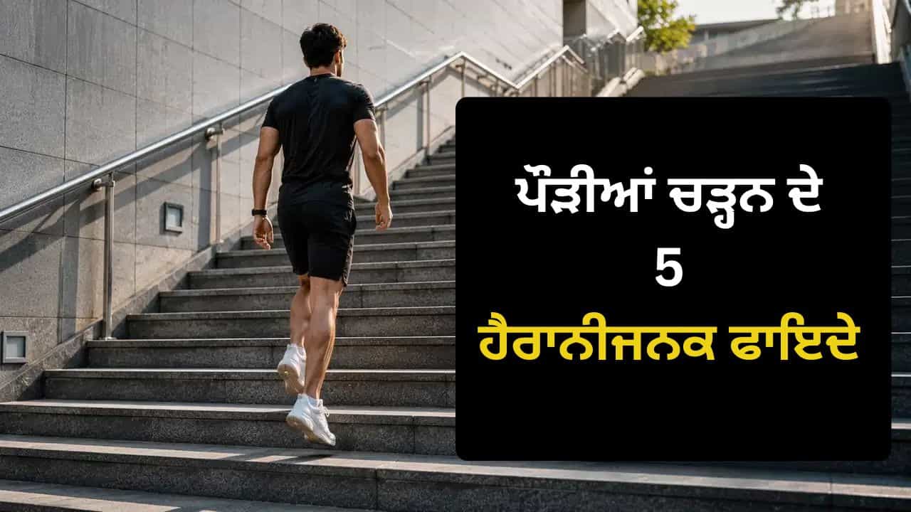 ਪੌੜੀਆਂ ਚੜ੍ਹਨਾ ਕਿਉਂ ਮੰਨੀ ਜਾਂਦੀ ਹੈ ਸਭ ਤੋਂ ਵਧੀਆ ਕਸਰਤ? ਜਾਣੋ ਇਸ ਦੇ ਵੱਡੇ ਫਾਇਦੇ ਪੌੜੀਆਂ ਚੜ੍ਹਨਾ ਕਿਉਂ ਮੰਨੀ ਜਾਂਦੀ ਹੈ ਸਭ ਤੋਂ ਵਧੀਆ ਕਸਰਤ? ਜਾਣੋ ਇਸ ਦੇ ਵੱਡੇ ਫਾਇਦੇ