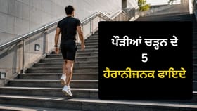 ਪੌੜੀਆਂ ਚੜ੍ਹਨਾ ਕਿਉਂ ਮੰਨੀ ਜਾਂਦੀ ਹੈ ਸਭ ਤੋਂ ਵਧੀਆ ਕਸਰਤ? ਜਾਣੋ ਇਸ ਦੇ ਵੱਡੇ ਫਾਇਦੇ...