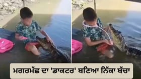ਮਗਰਮੱਛ ਨਾਲ 'ਡਾਕਟਰ-ਡਾਕਟਰ' ਖੇਡਦਾ ਬੱਚਾ, ਲੋਕ ਰਹਿ ਗਏ ਹੈਰਾਨ- ਦੇਖੋ VIDEO