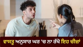 ਕੀ ਘਰ 'ਚ ਰੋਜ਼-ਰੋਜ਼ ਹੁੰਦੇ ਹਨ ਝਗੜੇ? ਅੱਜ ਹੀ ਅਪਣਾਓ ਵਾਸਤੂ ਦੇ ਇਹ ਆਸਾਨ ਉਪਾਅ