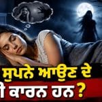ਕੀ ਤੁਹਾਨੂੰ ਵੀ ਰਾਤ ਨੂੰ ਆਉਂਦੇ ਨੇ ਡਰਾਉਣੇ ਸੁਪਨੇ? ਜਾਣੋ ਬੈੱਡਰੂਮ ਦੇ ਇਹ 4 ਵੱਡੇ ਵਾਸਤੂ ਦੋਸ਼
