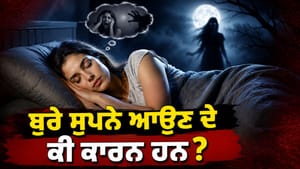 ਕੀ ਰਾਤ ਨੂੰ ਆਉਂਦੇ ਨੇ ਡਰਾਉਣੇ ਸੁਪਨੇ? ਵਾਸਤੂ ਦੀਆਂ ਇਹ 4 ਗ਼ਲਤੀਆਂ ਨੇ ਜ਼ਿੰਮੇਵਾਰ ਕੀ ਰਾਤ ਨੂੰ ਆਉਂਦੇ ਨੇ ਡਰਾਉਣੇ ਸੁਪਨੇ? ਵਾਸਤੂ ਦੀਆਂ ਇਹ 4 ਗ਼ਲਤੀਆਂ ਨੇ ਜ਼ਿੰਮੇਵਾਰ