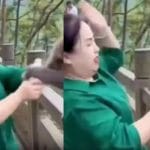 Viral Video: ਬਾਂਦਰ ਨੇ ਪਹਿਲਾਂ ਮਾਰੇ ਥੱਪੜ, ਫਿਰ ਮੌਕਾ ਦੇਖ ਖੋਹੀ ਕੋਲਡ ਡ੍ਰਿੰਕ; ਅੰਤ ਦੇਖ ਕੇ ਨਿਕਲ ਜਾਵੇਗਾ ਹਾਸਾ