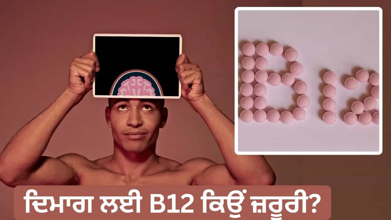 World Brain Day: ਦਿਮਾਗ ਲਈ ਵਿਟਾਮਿਨ B12 ਕਿਉਂ ਹੈ ਜ਼ਰੂਰੀ? ਜਾਣੋ ਮਾਹਰ ਦੀ ਰਾਏ