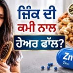 ਵਾਲਾਂ ਦਾ ਝੜਨਾ ਨਹੀਂ ਹੋ ਰਿਹਾ ਘੱਟ? ਸਰੀਰ ਵਿੱਚ ਜ਼ਿੰਕ ਦੀ ਕਮੀ ਦਾ ਹੋ ਸਕਦਾ ਹੈ ਸੰਕੇਤ
