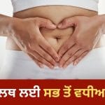 ਗਟ ਹੈਲਥ ਨੂੰ ਕਿਵੇਂ ਰੱਖੀਏ ਦਰੁਸਤ? ਡਾਈਟ ‘ਚ ਸ਼ਾਮਲ ਕਰੋ ਇਹ ਚੀਜ਼ਾਂ