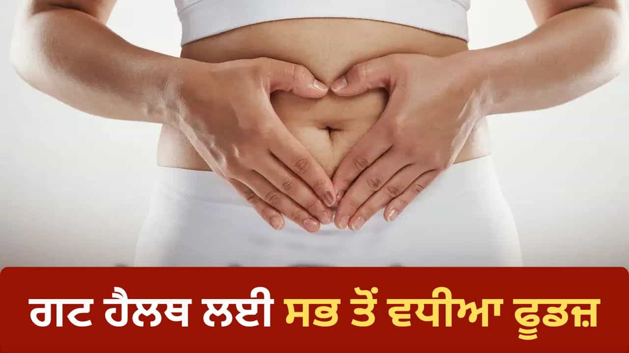 ਗਟ ਹੈਲਥ ਨੂੰ ਕਿਵੇਂ ਰੱਖੀਏ ਦਰੁਸਤ? ਡਾਈਟ ਚ ਸ਼ਾਮਲ ਕਰੋ ਇਹ ਚੀਜ਼ਾਂ ਗਟ ਹੈਲਥ ਨੂੰ ਕਿਵੇਂ ਰੱਖੀਏ ਦਰੁਸਤ? ਡਾਈਟ ਚ ਸ਼ਾਮਲ ਕਰੋ ਇਹ ਚੀਜ਼ਾਂ
