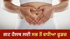 ਗਟ ਹੈਲਥ ਨੂੰ ਕਿਵੇਂ ਰੱਖੀਏ ਦਰੁਸਤ? ਡਾਈਟ 'ਚ ਸ਼ਾਮਲ ਕਰੋ ਇਹ ਚੀਜ਼ਾਂ ਗਟ ਹੈਲਥ ਨੂੰ ਕਿਵੇਂ ਰੱਖੀਏ ਦਰੁਸਤ? ਡਾਈਟ 'ਚ ਸ਼ਾਮਲ ਕਰੋ ਇਹ ਚੀਜ਼ਾਂ
