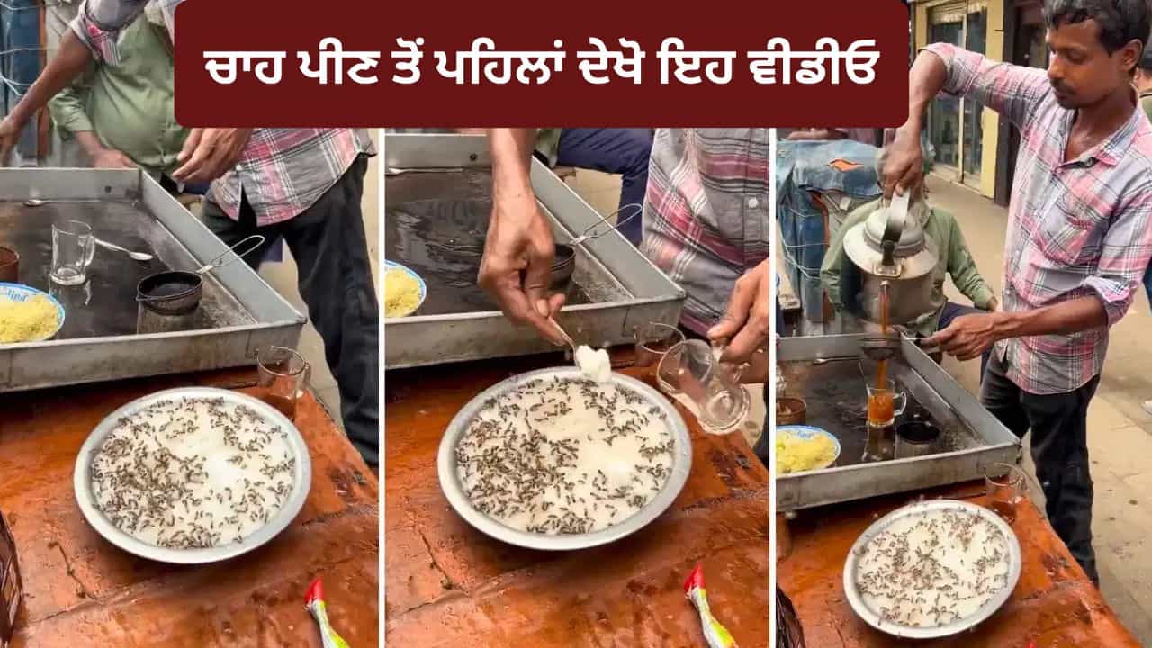 Tea Stall Viral Video: ਚਾਹ ਪੀਣ ਤੋਂ ਪਹਿਲਾਂ ਦੇਖੋ ਇਹ ਵੀਡੀਓ, ਸਫ਼ਾਈ ਨੂੰ ਲੈ ਕੇ ਲੋਕਾਂ ਨੇ ਦਿੱਤੀ ਚੇਤਾਵਨੀ Tea Stall Viral Video: ਚਾਹ ਪੀਣ ਤੋਂ ਪਹਿਲਾਂ ਦੇਖੋ ਇਹ ਵੀਡੀਓ, ਸਫ਼ਾਈ ਨੂੰ ਲੈ ਕੇ ਲੋਕਾਂ ਨੇ ਦਿੱਤੀ ਚੇਤਾਵਨੀ