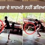 Viral King Cobra Video: ਘਰ ‘ਚ ਵੜਿਆ ਜ਼ਹਿਰੀਲਾ ਕਿੰਗ ਕੋਬਰਾ, ਸ਼ਖ਼ਸ ਦੀ ਬਹਾਦਰੀ ਦੇਖ ਲੋਕ ਰਹਿ ਗਏ ਹੈਰਾਨ