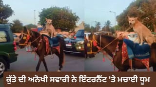 Funny Animal Video: ਘੋੜੇ ਦੀ ਪਿੱਠ ‘ਤੇ ਬੈਠੇ ਕੁੱਤੇ ਨੇ ਲੁੱਟੀ ਮਹਿਫ਼ਲ, ਵੀਡੀਓ ਹੋਇਆ ਵਾਇਰਲ