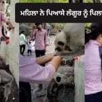 Viral Video: ਪਿਆਸੇ ਲੰਗੂਰ ਨੂੰ ਪਾਣੀ ਪਿਲਾ ਕੇ ਮਹਿਲਾ ਨੇ ਜਿੱਤਿਆ ਲੋਕਾਂ ਦਾ ਦਿਲ, ਵੀਡੀਓ ਹੋਇਆ ਵਾਇਰਲ