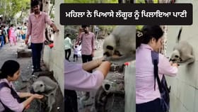 Viral Video: ਪਿਆਸੇ ਲੰਗੂਰ ਨੂੰ ਪਾਣੀ ਪਿਲਾ ਕੇ ਮਹਿਲਾ ਨੇ ਜਿੱਤਿਆ ਲੋਕਾਂ ਦਾ ਦਿਲ, ਵੀਡੀਓ ਹੋਇਆ ਵਾਇਰਲ...