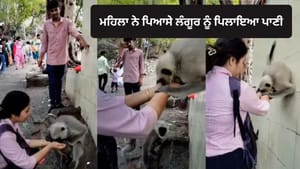 ਪਿਆਸੇ ਲੰਗੂਰ ਨੂੰ ਪਾਣੀ ਪਿਲਾ ਕੇ ਮਹਿਲਾ ਨੇ ਜਿੱਤਿਆ ਲੋਕਾਂ ਦਾ ਦਿਲ - VIDEO ਪਿਆਸੇ ਲੰਗੂਰ ਨੂੰ ਪਾਣੀ ਪਿਲਾ ਕੇ ਮਹਿਲਾ ਨੇ ਜਿੱਤਿਆ ਲੋਕਾਂ ਦਾ ਦਿਲ - VIDEO