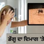 ਡੇਂਗੂ ਨਾਲ ਬ੍ਰੇਨ ਸਟ੍ਰੋਕ ਦਾ ਡਰ ਕੀ ਇਨਫੈਕਸ਼ਨ ਨਾਲ ਦਿਮਾਗ ਨੂੰ ਵੀ ਖ਼ਤਰਾ? ਡਾਕਟਰ ਨੇ ਦੱਸਿਆ