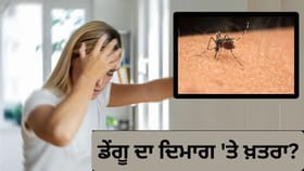 ਡੇਂਗੂ ਨਾਲ ਬ੍ਰੇਨ ਸਟ੍ਰੋਕ ਦਾ ਡਰ, ਕੀ ਇਨਫੈਕਸ਼ਨ ਨਾਲ ਦਿਮਾਗ ਨੂੰ ਵੀ ਖ਼ਤਰਾ?