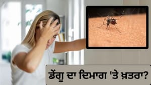 ਡੇਂਗੂ ਨਾਲ ਬ੍ਰੇਨ ਸਟ੍ਰੋਕ ਦਾ ਡਰ, ਕੀ ਇਨਫੈਕਸ਼ਨ ਨਾਲ ਦਿਮਾਗ ਨੂੰ ਵੀ ਖ਼ਤਰਾ? ਡੇਂਗੂ ਨਾਲ ਬ੍ਰੇਨ ਸਟ੍ਰੋਕ ਦਾ ਡਰ, ਕੀ ਇਨਫੈਕਸ਼ਨ ਨਾਲ ਦਿਮਾਗ ਨੂੰ ਵੀ ਖ਼ਤਰਾ?