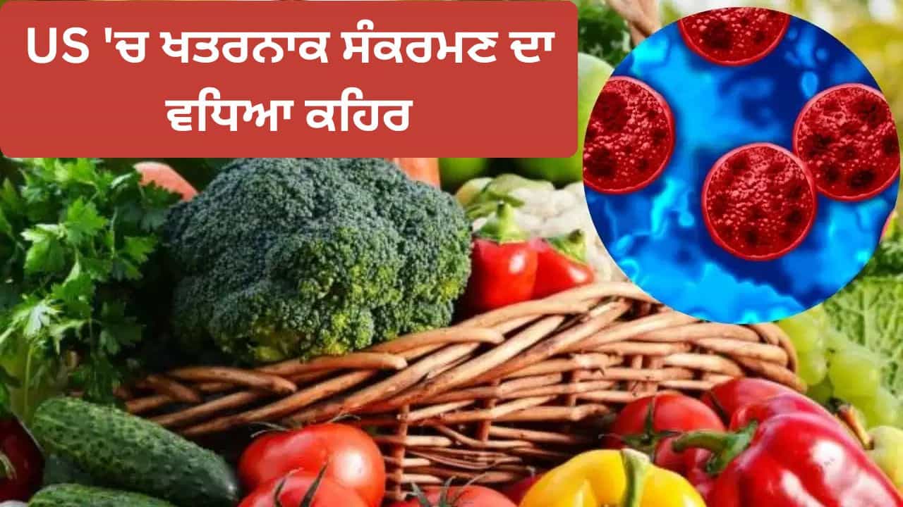 ਅਮਰੀਕਾ ਚ ਇਸ ਕਮਜ਼ੋਰ ਬਿਮਾਰੀ ਨੇ ਲਈ 2 ਲੋਕਾਂ ਦੀ ਜਾਨ, ਸਾਹਮਣੇ ਆ ਚੁੱਕੇ ਹਨ 18 ਹਜ਼ਾਰ ਤੋਂ ਵੱਧ ਮਾਮਲੇ
