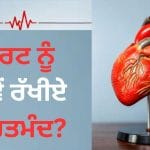 ਦਿਲ ਨੂੰ ਲੰਬੇ ਸਮੇਂ ਤੱਕ ਸਿਹਤਮੰਦ ਰੱਖਣ ਲਈ ਅਪਣਾਓ ਇਹ ਆਦਤਾਂ, ਤੰਦਰੁਸਤ ਰਹੇਗਾ ਹਾਰਟ