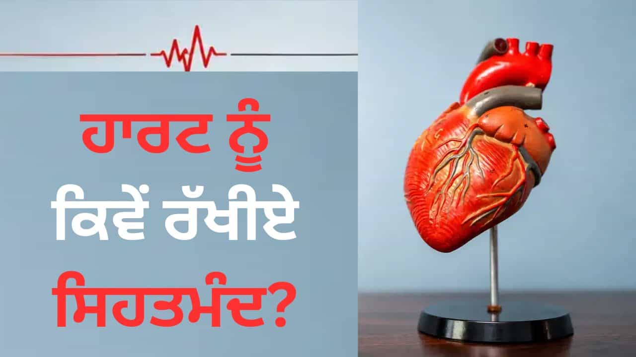ਦਿਲ ਨੂੰ ਲੰਬੇ ਸਮੇਂ ਤੱਕ ਸਿਹਤਮੰਦ ਰੱਖਣ ਲਈ ਅਪਣਾਓ ਇਹ ਆਦਤਾਂ, ਤੰਦਰੁਸਤ ਰਹੇਗਾ ਹਾਰਟ ਦਿਲ ਨੂੰ ਲੰਬੇ ਸਮੇਂ ਤੱਕ ਸਿਹਤਮੰਦ ਰੱਖਣ ਲਈ ਅਪਣਾਓ ਇਹ ਆਦਤਾਂ, ਤੰਦਰੁਸਤ ਰਹੇਗਾ ਹਾਰਟ