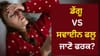 ਡੇਂਗੂ ਜਾਂ ਸਵਾਈਨ ਫਲੂ? ਹਰ ਬੁਖਾਰ ਇੱਕੋ ਜਿਹਾ ਨਹੀਂ ਹੁੰਦਾ, ਇੰਝ ਪਛਾਣੋ ਫਰਕ...