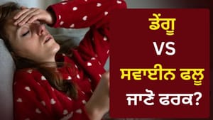 ਡੇਂਗੂ ਜਾਂ ਸਵਾਈਨ ਫਲੂ? ਹਰ ਬੁਖਾਰ ਇੱਕੋ ਜਿਹਾ ਨਹੀਂ ਹੁੰਦਾ, ਇੰਝ ਪਛਾਣੋ ਫਰਕ ਡੇਂਗੂ ਜਾਂ ਸਵਾਈਨ ਫਲੂ? ਹਰ ਬੁਖਾਰ ਇੱਕੋ ਜਿਹਾ ਨਹੀਂ ਹੁੰਦਾ, ਇੰਝ ਪਛਾਣੋ ਫਰਕ