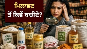 ਮਿਲਾਵਟ ਦਾ ਮੱਕੜਜਾਲ....ਕਿਵੇਂ ਲੋਕਾਂ ਦੇ ਭਰੋਸੇ ਅਤੇ ਸਿਹਤ ਨਾਲ ਹੋ ਰਿਹਾ ਖਿਲਵਾੜ?