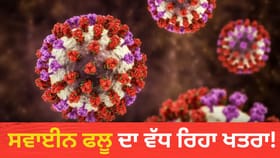 ਕੀ 'ਸਵਾਈਨ ਫਲੂ' ਦਾ ਨਵਾਂ 'ਸਟ੍ਰੇਨ' ਆ ਗਿਆ? ਪਿਛਲੇ ਸਾਲ ਦੇ ਮੁਕਾਬਲੇ 8 ਗੁਣਾ ਵਧੇ