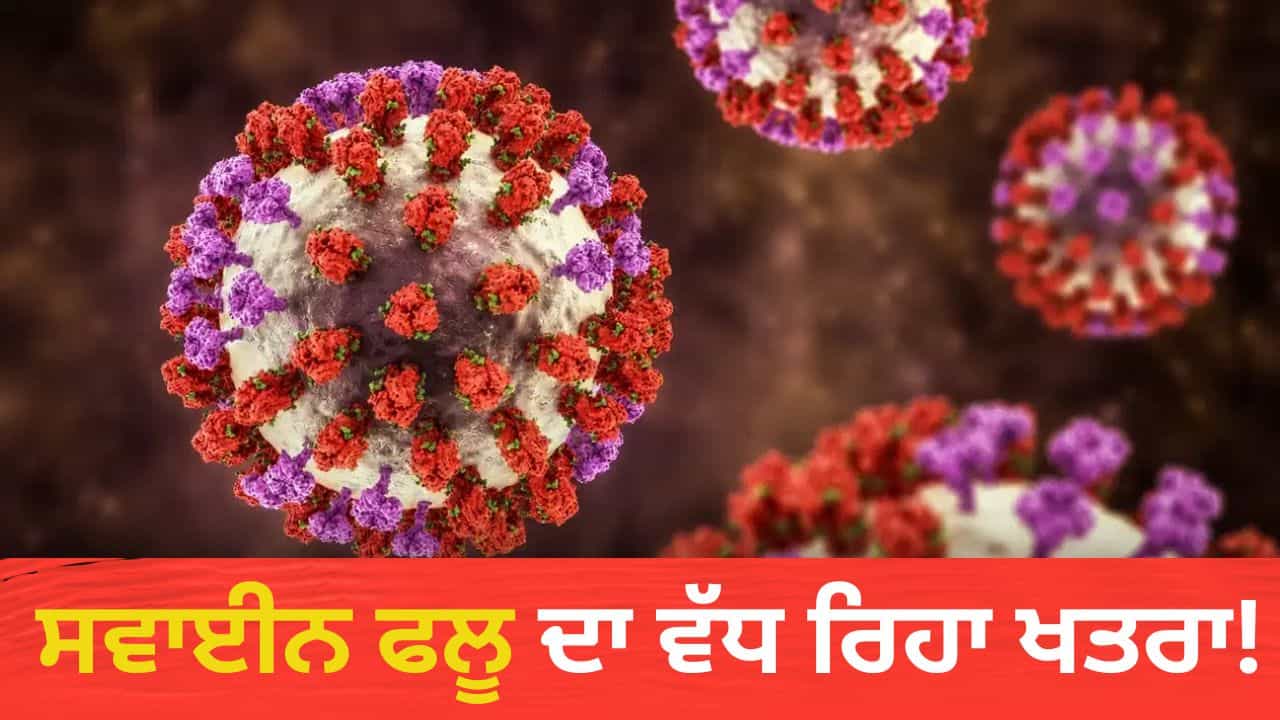 ਕੀ ਸਵਾਈਨ ਫਲੂ ਦਾ ਨਵਾਂ ਸਟ੍ਰੇਨ ਆ ਗਿਆ? ਪਿਛਲੇ ਸਾਲ ਦੇ ਮੁਕਾਬਲੇ 8 ਗੁਣਾ ਵਧੇ