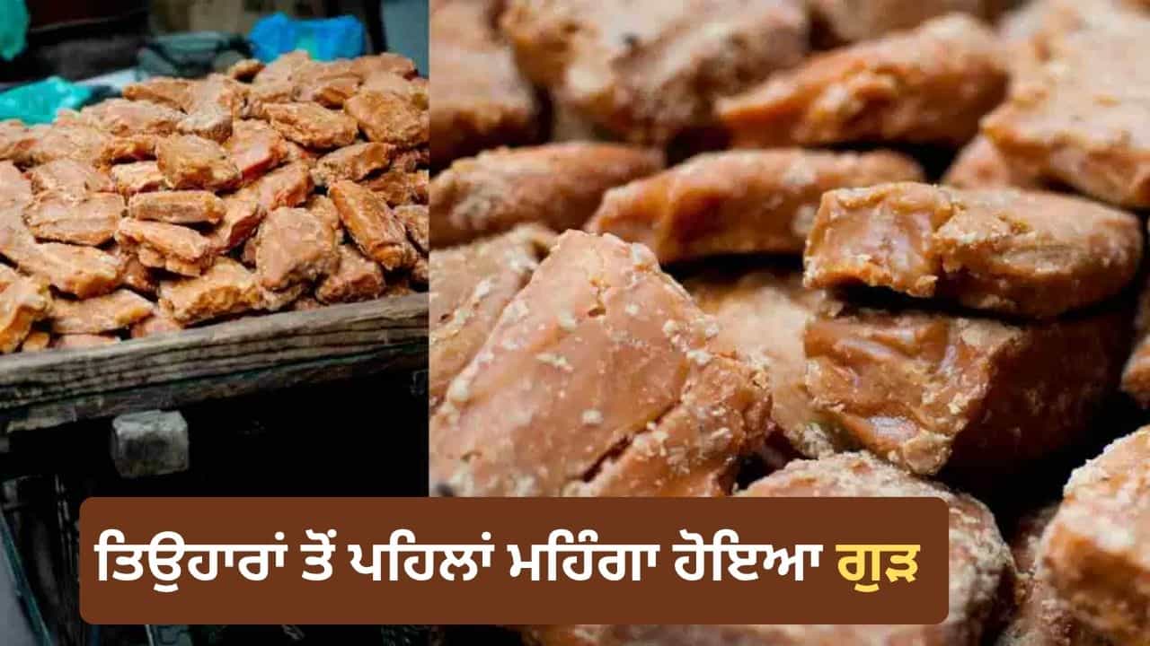 ਖੰਡ ਤੋਂ ਬਾਅਦ ਹੁਣ ਗੁੜ ਨੇ ਵਿਗਾੜਿਆ ਬਜਟ, ਤਿਉਹਾਰਾਂ ਤੋਂ ਪਹਿਲਾਂ ਅਸਮਾਨ ਛੂਹ ਰਹੀਆਂ ਕੀਮਤਾਂ ਖੰਡ ਤੋਂ ਬਾਅਦ ਹੁਣ ਗੁੜ ਨੇ ਵਿਗਾੜਿਆ ਬਜਟ, ਤਿਉਹਾਰਾਂ ਤੋਂ ਪਹਿਲਾਂ ਅਸਮਾਨ ਛੂਹ ਰਹੀਆਂ ਕੀਮਤਾਂ