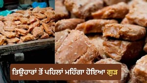 ਹੁਣ ਗੁੜ ਨੇ ਵਿਗਾੜਿਆ ਬਜਟ, ਤਿਉਹਾਰਾਂ ਤੋਂ ਪਹਿਲਾਂ ਅਸਮਾਨ ਛੂਹ ਰਹੀਆਂ ਕੀਮਤਾਂ ਹੁਣ ਗੁੜ ਨੇ ਵਿਗਾੜਿਆ ਬਜਟ, ਤਿਉਹਾਰਾਂ ਤੋਂ ਪਹਿਲਾਂ ਅਸਮਾਨ ਛੂਹ ਰਹੀਆਂ ਕੀਮਤਾਂ