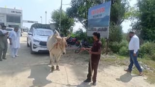 Punjab Viral: ਮੋਗਾ ‘ਚ 31 ਲੱਖ ਦੀ ਇਨੋਵਾ ‘ਤੇ ਲੱਦਿਆ ਚਾਰਾ, ਆਰਸੀ ਨਾ ਬਣਨ ‘ਤੇ ਅਨੋਖਾ ਵਿਰੋਧ ਪ੍ਰਦਰਸ਼ਨ, ਜਾਣੋ ਕੀ ਹੈ ਮਾਮਲਾ